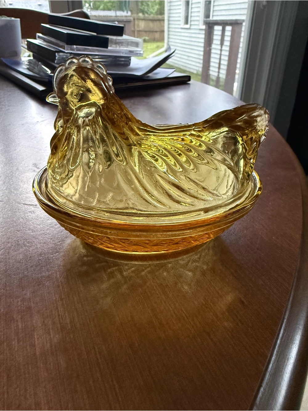 Amber Hazel Atlas Hen on nest